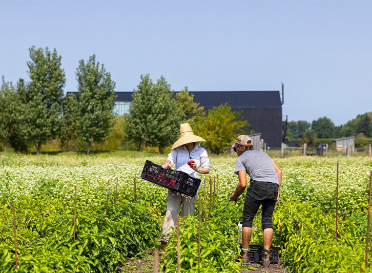 Growers Circle - Restaurant Pearl Morissette