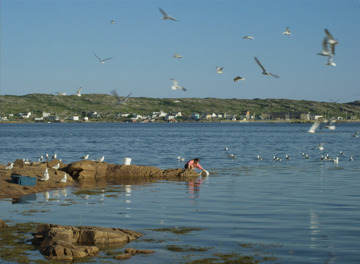 WINDWARD - Fogo Island Arts - Fogo Island Gallery - Fogo Island Inn
